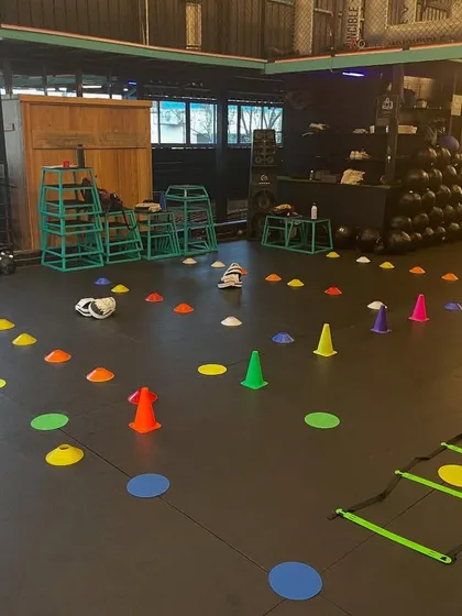 The excitement is building. Our training space is set up for a great class, with an obstacle course of cones and ladders ready for our Kikkers.
