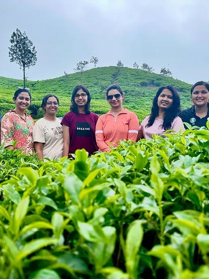 Posing in the tea gardens is a must-do when you're in this region.