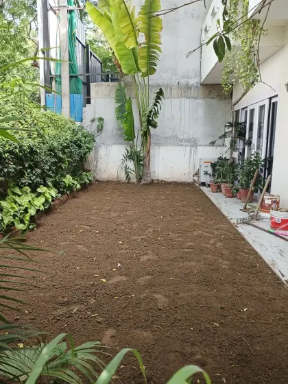 The ground is now fully prepared, with fresh soil and nutrients added. It is now ready for the new grass installation.