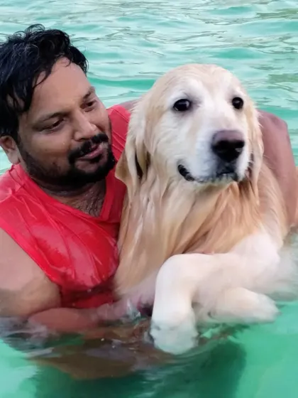 A heartwarming moment between a dad and his Golden Retriever, finding a cool escape from the heat in our pool.