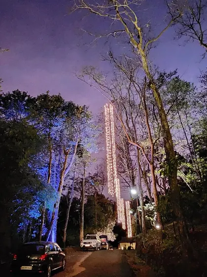 An enchanting view of the entrance to a Malnad wedding venue. We installed tall, cascading curtains of light among the trees, creating a breathtaking spectacle against the twilight sky that welcomed guests from afar.