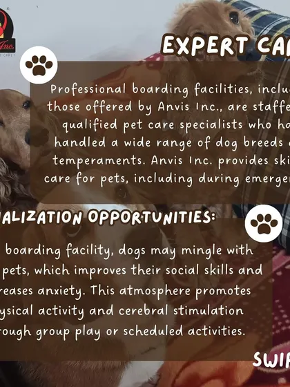Our facilities are staffed by qualified pet care specialists who provide expert care and socialization opportunities, promoting physical activity and mental stimulation.