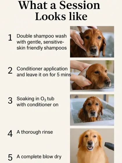 A typical Ozone Spa session is a five-step process. It includes a double shampoo wash, deep conditioning, a relaxing soak in the ozonated tub, a thorough rinse, and a complete, gentle blow dry to finish.