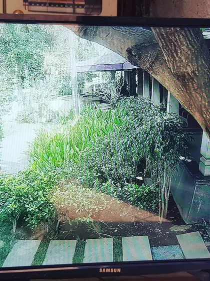 This camera is placed to monitor a lush garden area within the property.
