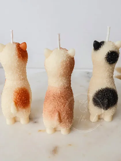 The back view of my adorable Alpaca candles. I hand-paint the little patches on each one, so every alpaca has its own unique personality.