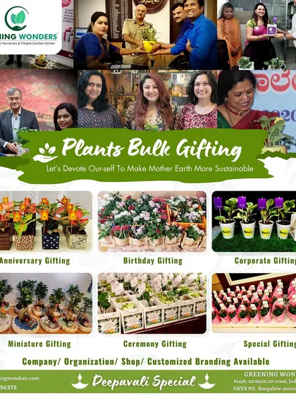 A collage showcasing our diverse plant bulk gifting options for Deepavali, suitable for any ceremony or special occasion.