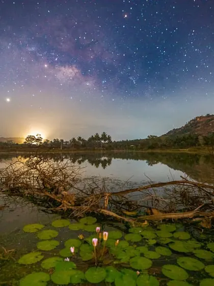 Finding a good dark sky location near home is a challenge, but moments like this make the search worthwhile. This image of the Milky Way over a lake with water lilies went viral and inspired many local photographers.