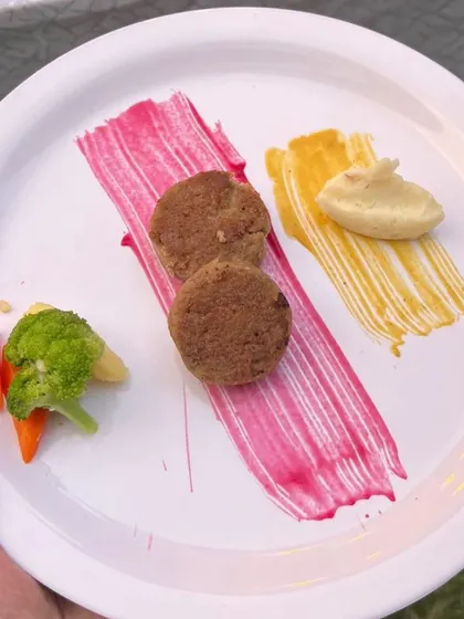 Another beautiful plate from our gourmet pet menu.
