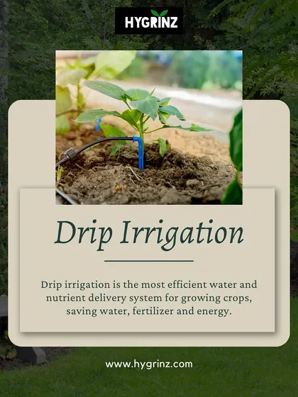 This graphic explains the benefits of drip irrigation. It's the most efficient way to deliver water and nutrients directly to the plant's roots, saving water, fertilizer, and energy.