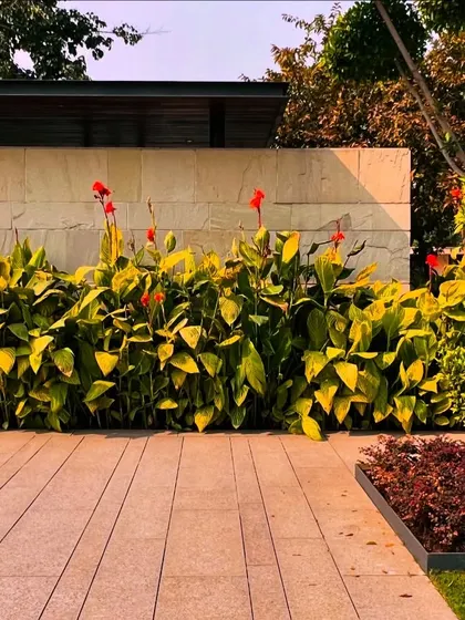 A bed of Canna lilies with vibrant red flowers provides a splash of color against a stone wall. Thoughtful plant selection ensures year-round interest and visual appeal.