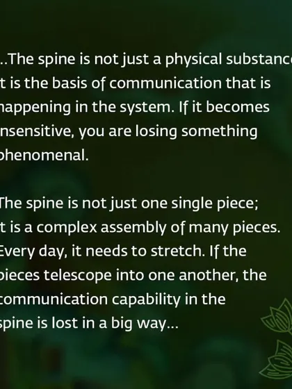 The spine is not just a physical substance; it is the basis of communication within your system. Daily stretching through practices like Yoga Namaskar is essential to maintain this capability.
