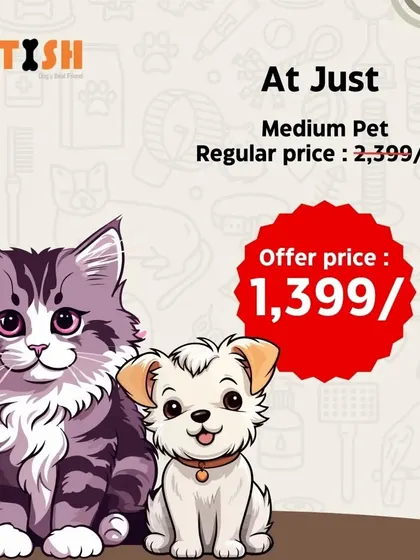 Medium-sized pets can get a full groom for the offer price of just ₹1,399. It's top-notch care at an unbeatable price.