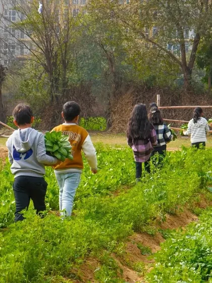 A view of our lush green fields with children walking through, carrying their harvest. It shows the scale of our farm and the freedom kids have to explore.