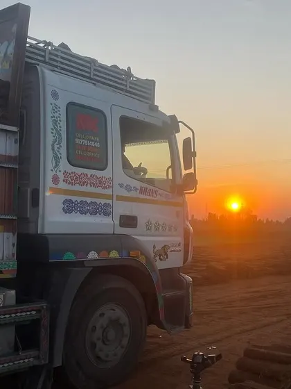 A truck full of grass, ready for an early morning delivery run.