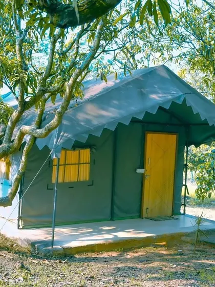 An exterior shot of our Swiss cottage, showing its rustic charm amidst the trees.