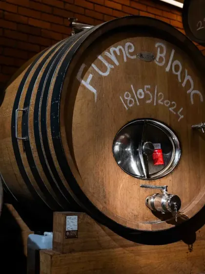 Craftsmanship is at the heart of what I do. This is one of our rare Foudre barrels, where our La Réserve Fumé Blanc ages. This traditional method preserves the wine's pure character while adding texture and depth, a quiet alchemy that defines our process.