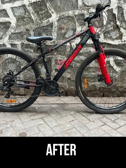 The 'after' shot of a Frog mountain bike. After our service, it looks sharp and is mechanically sound, from the brakes to the gears.