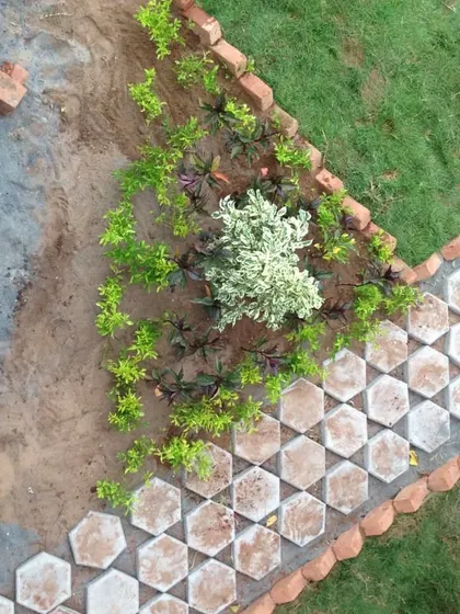 An aerial view of a garden design featuring hexagonal pavers and a triangular planting bed with a variety of shrubs.