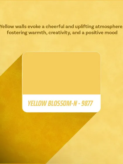 Did you know the color of your walls can affect your mood? From calming blues to energizing yellows, I can help you craft a space that not only reflects your style but also nurtures emotional well-being.