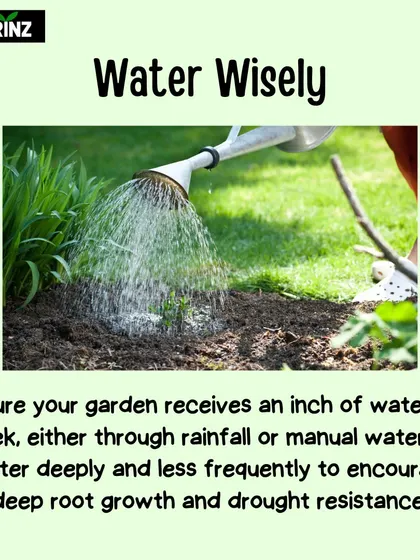 Watering wisely is about quality, not just quantity. Watering deeply and less frequently encourages deep root growth, making your plants more resistant to drought.
