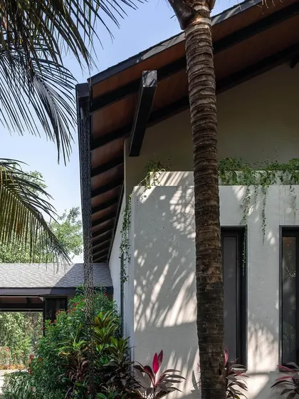 The facade of Grove House, with its clean white walls, dark-framed windows, and lush tropical planting.