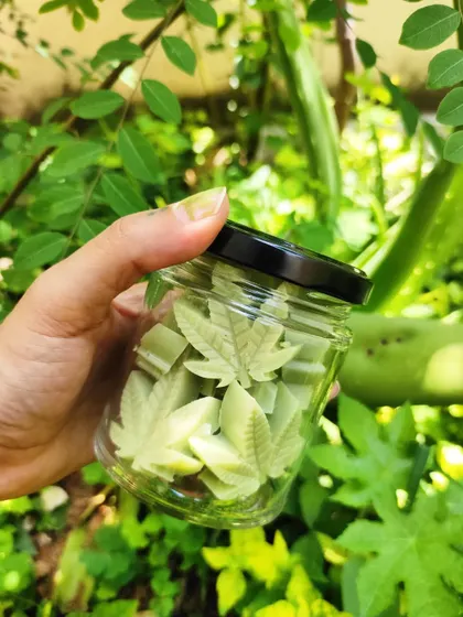 These mini soaps in a jar feature French Green Clay and Lemongrass essential oil. The clay detoxifies while the lemongrass provides a refreshing, uplifting scent. Perfect for a revitalizing bath experience.