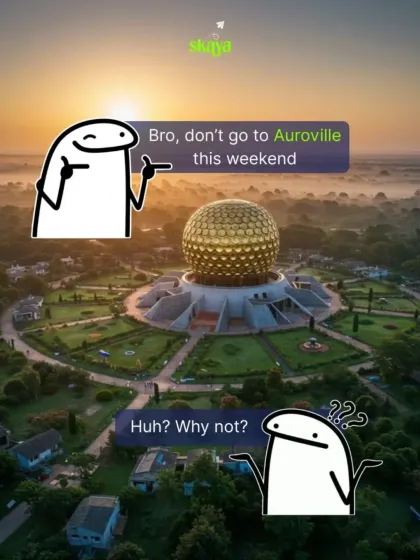 "Bro, don't go to Auroville this weekend." "Why not?" This meme is for anyone who needs to see the other side of the story. Our no-phone retreat here is a game-changer.