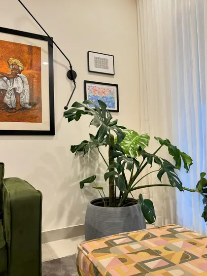 A close-up of the living room styling, showing how a large monstera plant in a simple grey planter and a patterned ottoman add layers of texture and color to the space.