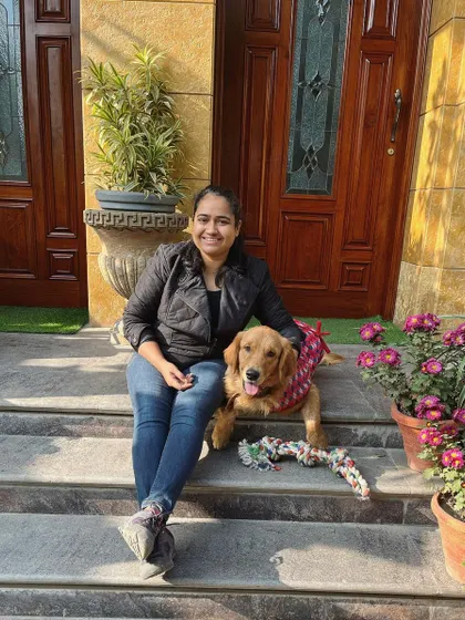 Living the golden life with a happy and well-behaved Golden Retriever. These dogs are eager to please, and with the right guidance, they become amazing companions.