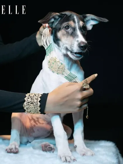 I was so excited to be part of this beautiful campaign with ELLE India and World For All Animal Adoptions. Here, my handcrafted choker, cuff, and ring are modeled by a very glamorous furry friend.