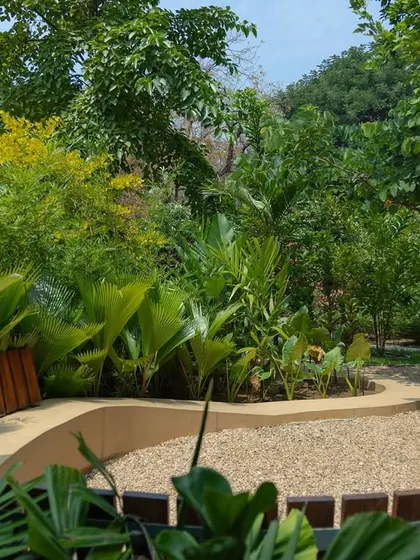 **Playfold, Ahmedabad:** The sculptural form of the bench is surrounded by dense, layered planting, creating a private oasis. The design transforms a simple backyard into a vibrant, tactile extension of the home.