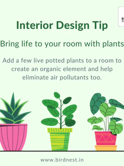An interior design tip from our experts: adding a few live potted plants can bring life to a room, create an organic element, and help purify the air.