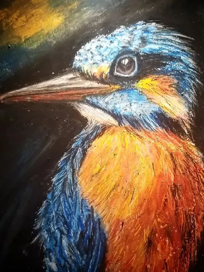 A vibrant portrait of a kingfisher done with oil pastels on a dark background. This technique makes the bright colors of the bird stand out beautifully.