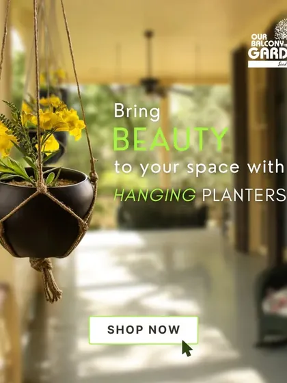 Bring beauty to your space with our hanging planters. This metal hanging planter with macrame-style ropes is perfect for adding a touch of green to your balcony or a sunny window.