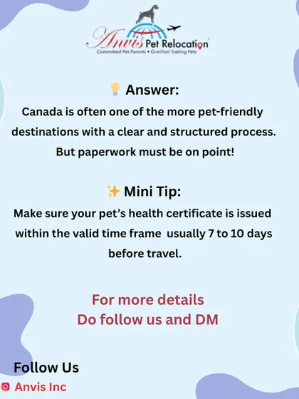And the answer is Canada. Canada often has a clear and structured process, making it one of the more pet-friendly destinations. However, the paperwork must be perfect, and health certificates have a strict valid timeframe.