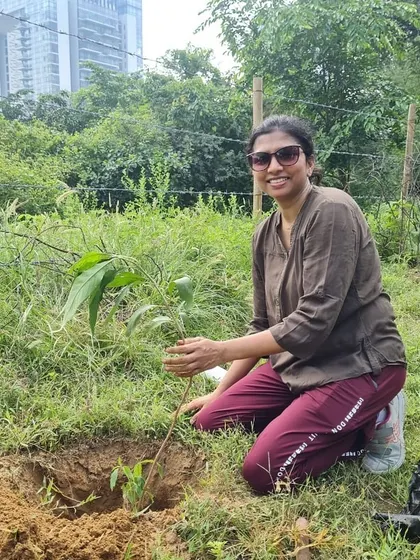 A smiling volunteer from NatWest kneels beside the native Aravali sapling she just planted, contributing to the restoration of the historic Ghata Bundh.