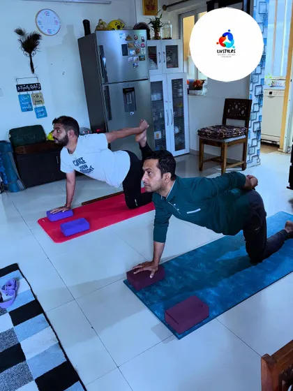 Two clients practice a bird-dog pose, a great exercise for improving core stability and coordination.