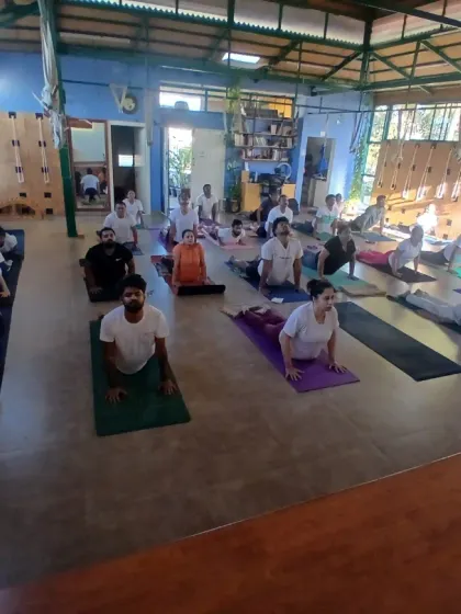 A wide view of our studio during a group practice of Bhujangasana (Cobra Pose). You can see the focus and synchronization as students move together, guided by my instructions.