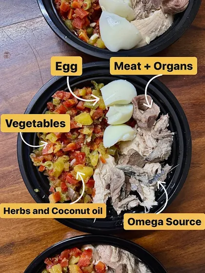 I have no secrets. This is what a balanced, species-appropriate meal looks like. It's a mix of high-quality protein from meat and organs, omega-3s from fish, fiber from fresh vegetables, a whole egg for nutrients, and beneficial herbs and coconut oil. It's not dog food, it's just food.