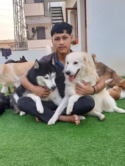 A team member with his two fluffy bodyguards, a Husky and a Himalayan Shepherd.