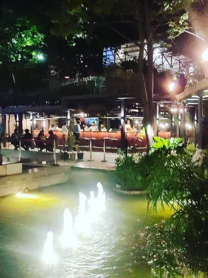 The fountains and ambient lighting at our brewpub create a relaxed and scenic environment for an evening out. It's a perfect blend of nature and nightlife.
