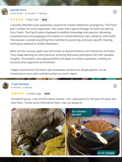 Don't just take our word for it. Here's what pet parents who have attended our sessions have to say about their experience. We are proud to have helped so many families live happier lives with their pets.