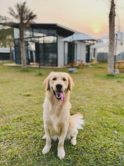 This happy camper is posing in front of our modern cafe building, ready for a day of fun.