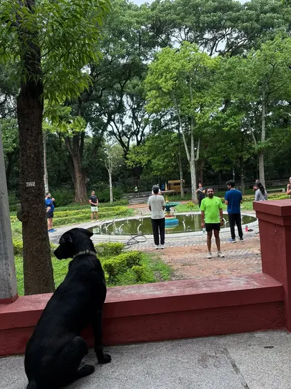 Batman watching the squad during a workout. He's the official supervisor.