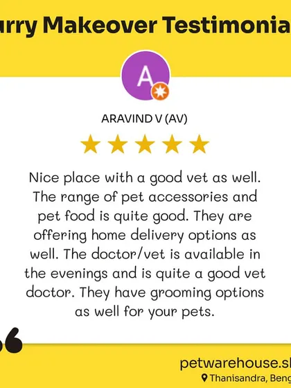 Aravind V. left another kind review, this time for his Golden Retriever's grooming experience. We're so glad they had a great time with us and can't wait to welcome them back.