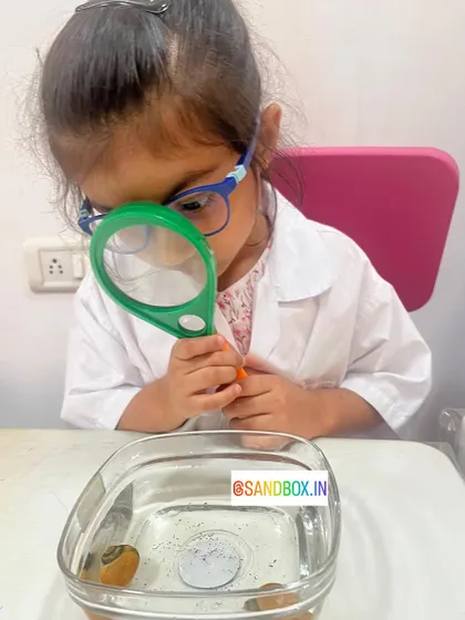 We believe in learning from real specimens. This student is using a magnifying glass to get a closer look at snails, observing how they move and behave.