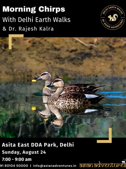 A pair of Indian Spot-billed Ducks glide across the water at Asita East DDA Park. Our "Morning Chirps" walk focuses on the waterfowl and other birds that thrive in this restored Yamuna floodplain habitat.
