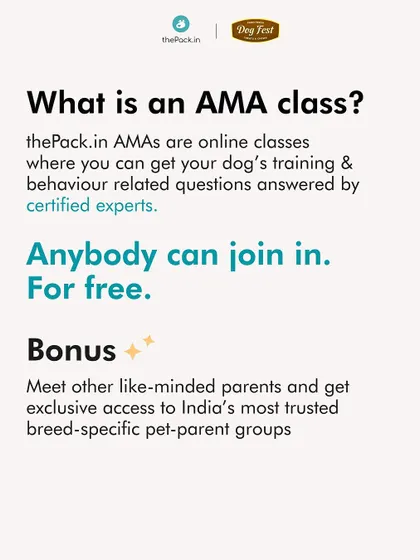 Our goal with these free AMA sessions is to help all pet parents raise happier dogs by providing reliable solutions to their everyday challenges.