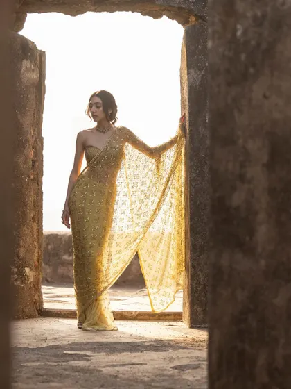 A silhouette shot through a stone doorway, highlighting the delicate fabric of the saree.