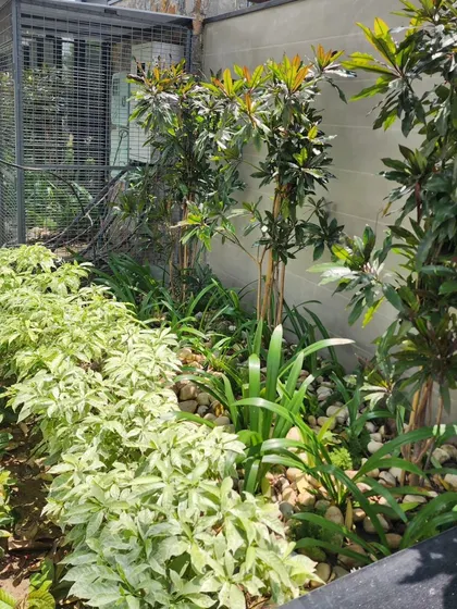 We provide full landscaping services for our clients in Delhi and NCR, transforming outdoor areas with beautiful and functional designs.
